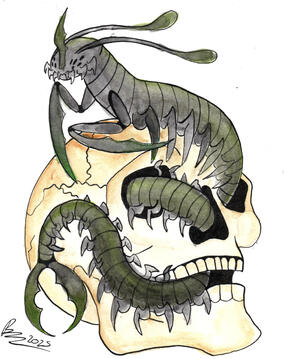 Nihil in Skull